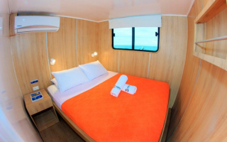 PINGUINO EXPLORER 12