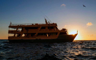 PINGUINO EXPLORER 18