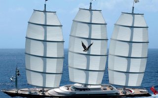 MALTESE FALCON