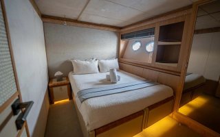 VENUS 30