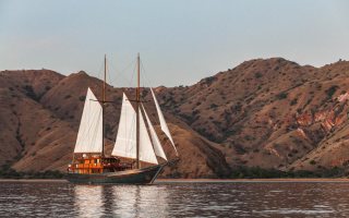 VELA 44
