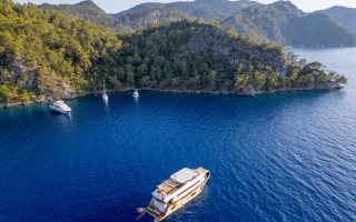LYCIAN DREAM 25