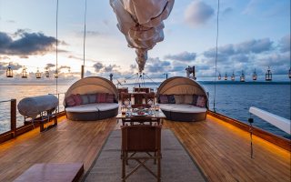 SEQUOIA 20