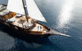 SEQUOIA 6