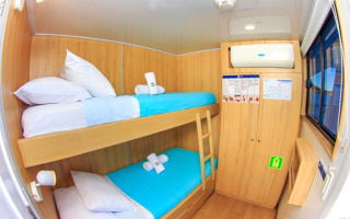 PINGUINO EXPLORER 15