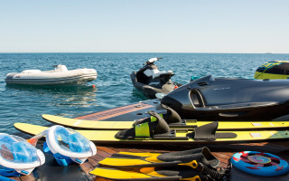 HOOLIGAN OF COWES 16