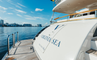 VIRGINIA SEA 5