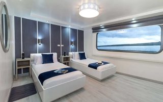 GALAPAGOS HORIZON 11