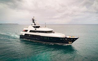 BRAVADO 30