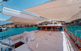 LYCIAN QUEEN 7