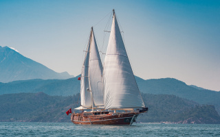 LYCIAN QUEEN 5