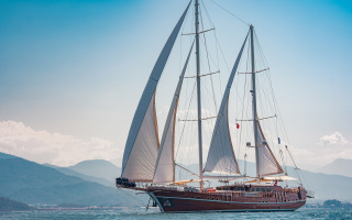 LYCIAN QUEEN 4