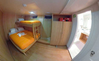 PINGUINO EXPLORER 14