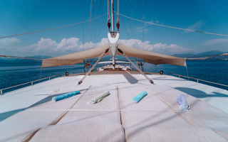 LYCIAN QUEEN 6