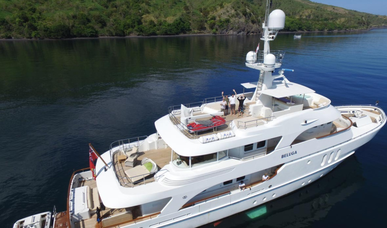 BELUGA