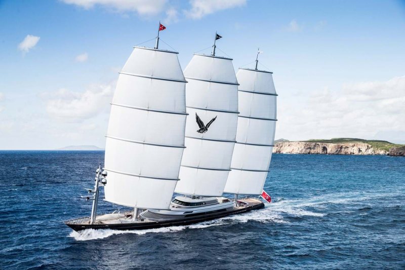 MALTESE FALCON