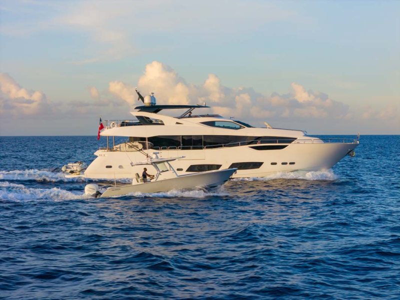 ACCIDENTAL SUCCESS II