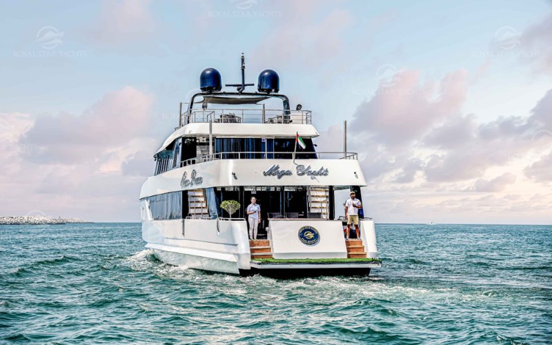 OCEAN DREAM 141
