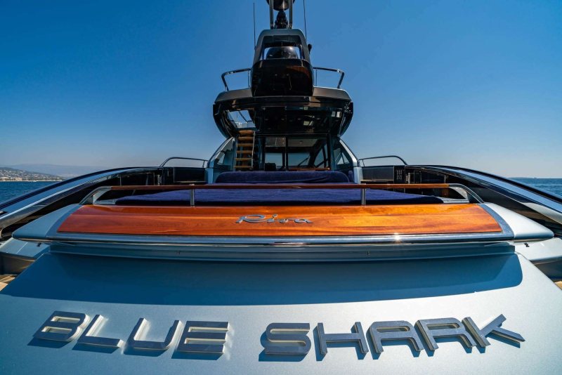 BLUE SHARK