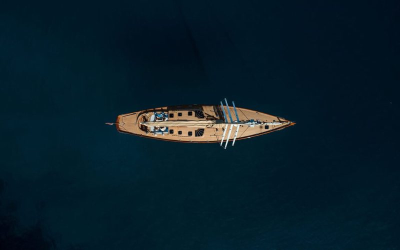 ANIMA II